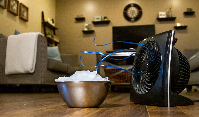 Bowl of ice next to fan on the floor