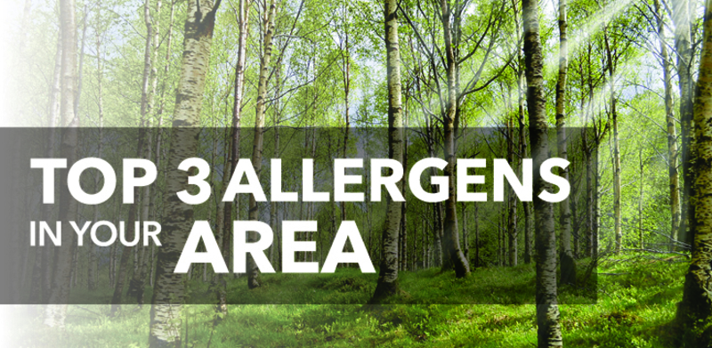 Forrest with text: "Top 3 allergens in your area"